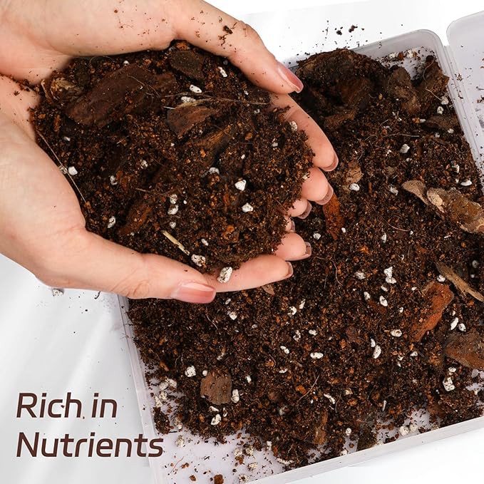 Organic Money Tree Soil Mix 4qt, Indoor Plants Potting Mix for All Potted Money Tree, Grow Healthy houseplants Indoors