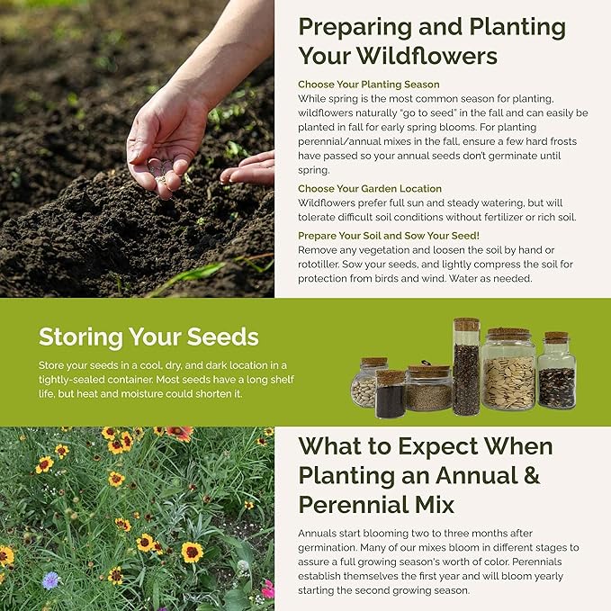 Eden Brothers Florida Wildflower Mixed Seeds for Planting, 1 oz, 30,000+ Seeds with Cornflower, Cosmos, African Daisy | Attracts Pollinators, Plant in Spring or Fall, Zones 3, 4, 5, 6, 7, 8, 9, 10