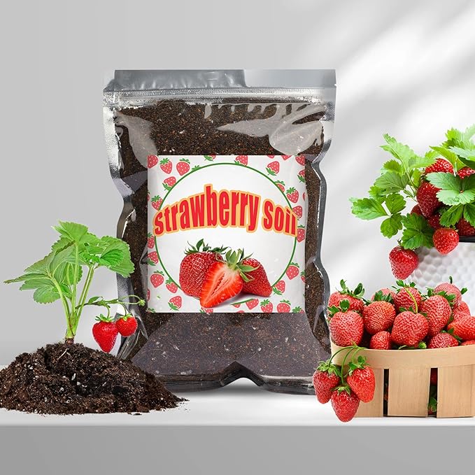 Organic Strawberry Soil Mix 2qt, Indoor Plants Potting Mix for All Potted Strawberry, Grow Healthy houseplants Indoors