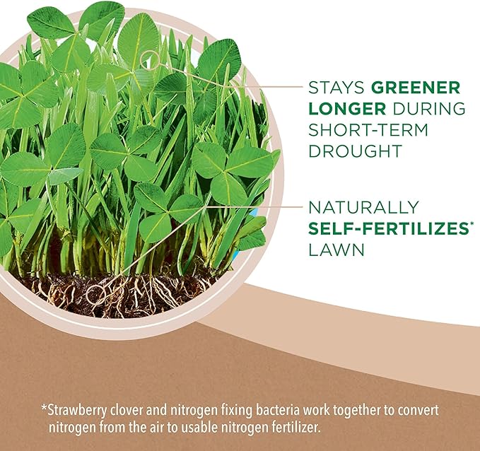 Scotts Turf Builder Clover Lawn, Greener Lawn with Less Maintenance, 2 lbs., 2-Pack