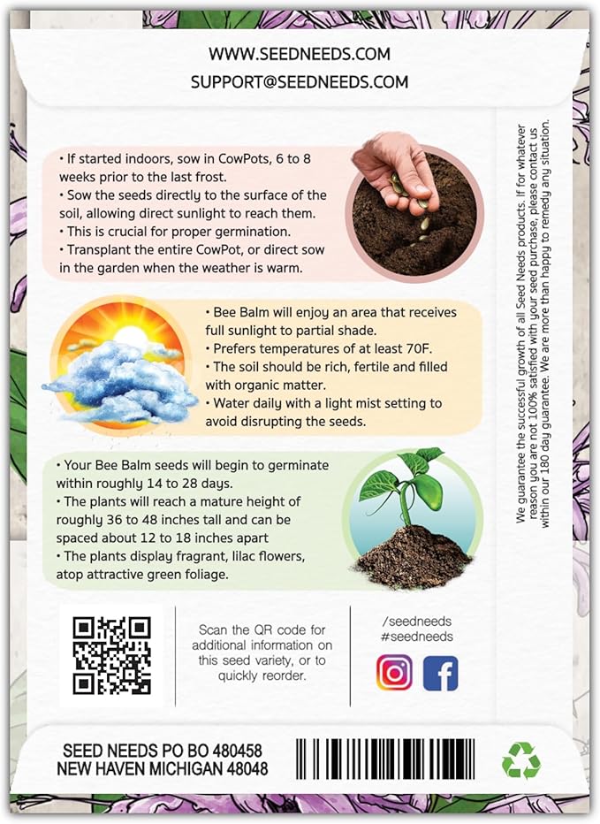 Seed Needs, Wild Bergamot Bee Balm Seeds - 400 Heirloom Seeds for Planting Monarda fistulosa - Attracts Honeybees, Bumblebees, Butterflies & Other Pollinators (5 Packs)