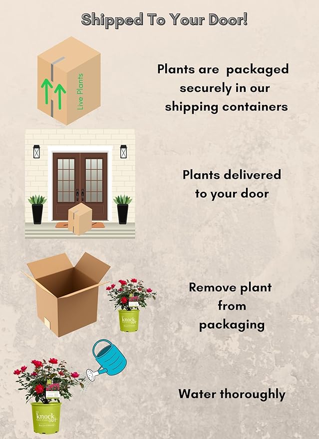 Knockout ' Double Rose, 1 Gallon, Cherry Red