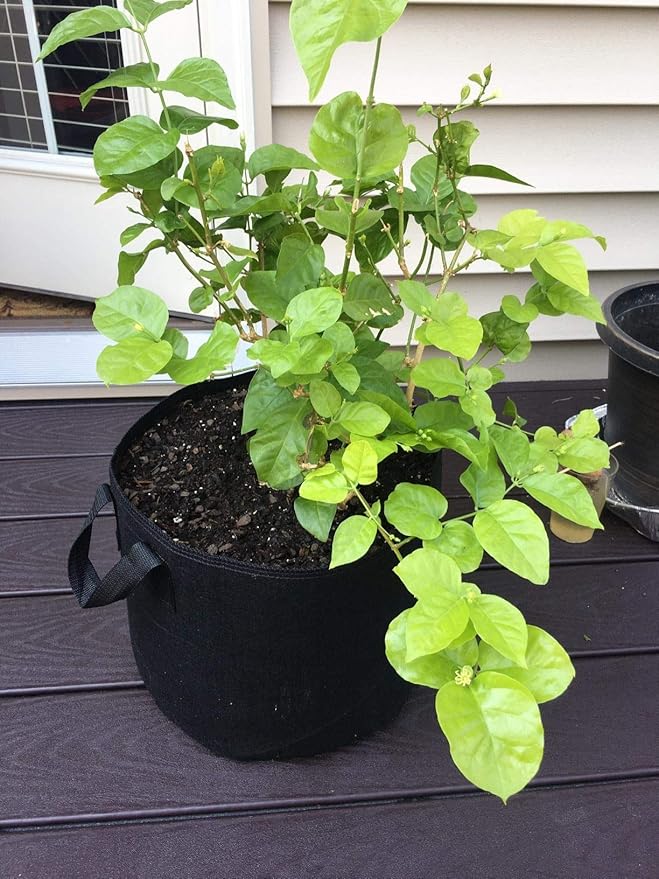 24-Pack 7 Gallon Grow Bags, Heavy Duty Thickened Non-Woven Plant Fabric Pots with Reinforced Handles