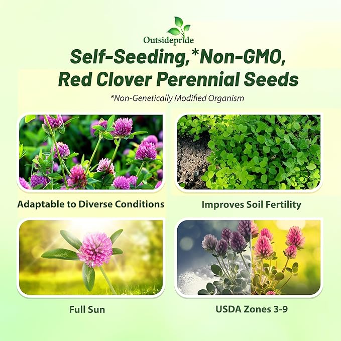 Outsidepride Perennial Red Clover Seeds - 2 lbs. Self-Seeding, Nitrocoated, Inoculated Clover Seeds for Lawn, Yard, Forage, Pasture, Hay, Nitrogen Fixation, Soil Improvement & Crop Rotation Programs