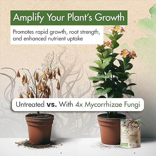 4oz 4X Mycorrhizae for Plants - Mycorrhizal Inoculant - Root Enhancer & Concentrated Myco, Superior Mycorrhizal for Plants, Ideal Mycorrhizae Powder for Increased Nutrient Uptake & Stronger Roots