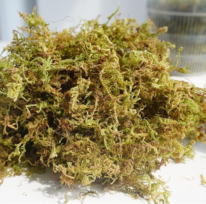 1 lb Natural Orchid Moss for Potted Plants, Nice Soilless Potting Soil for Seedling and Cutting, Good Idea for Reptile Terrarium, Crafts, Garden Decoration