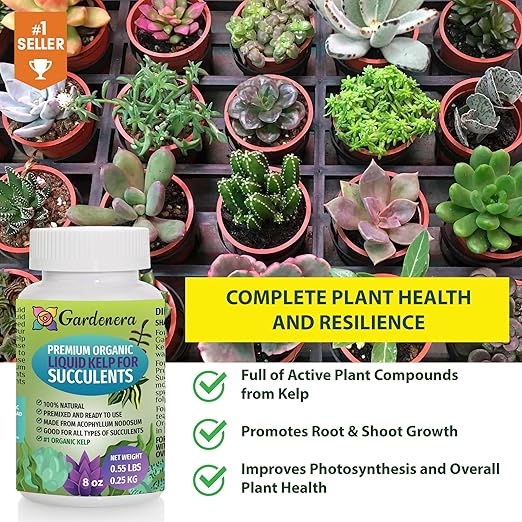Concentrated Kelp & Seaweed Extract for Succulents and Cacti - 16 oz - Unleash The Power of Seaweed for Stunning Growth