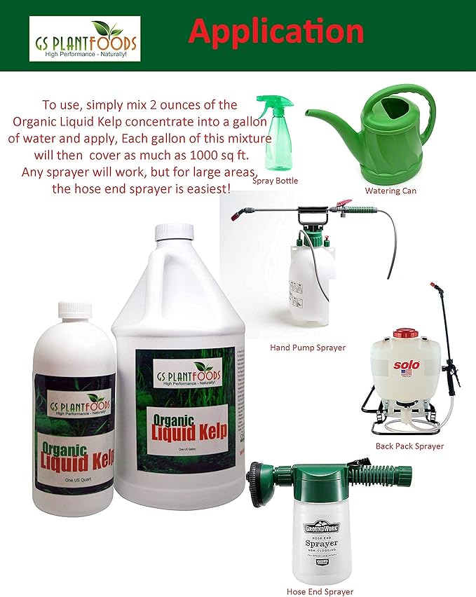 Kelp Fertilizer by GS Plant Foods (5 Gallon) - Organic Liquid Fertilizer for Gardens, Lawns & Soil - Liquid Kelp Concentrate