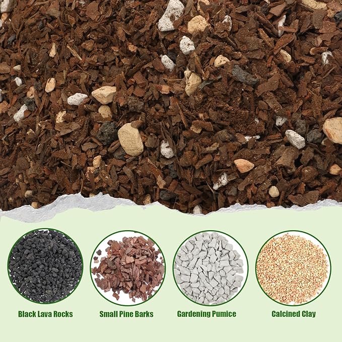 Bonsai Soil Mix Ready to Use (2qt), Premium Fast Draining Organic All Purpose Potting Mix for All Varieties of Bonsai