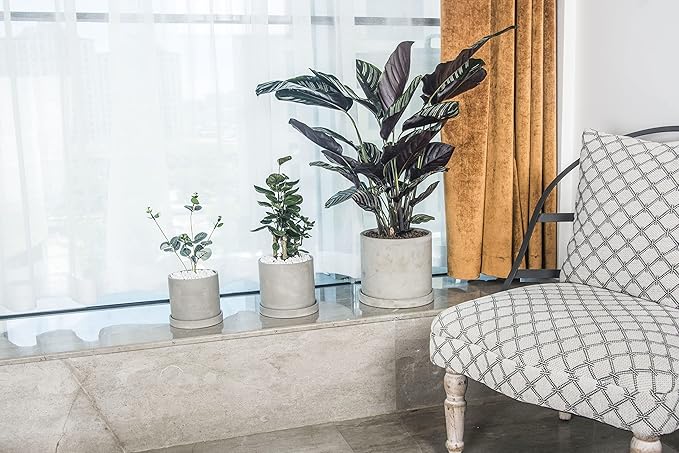 Ekirlin 5 Inch Flower Plant Pot Indoor - Grey Cement Garden Planter Concrete Planter with Drain Hole Saucer, Modern Succulents Containers for Home Decor, Office & Outdoor