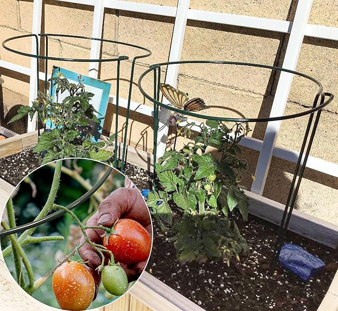 TCBWFY 10 Pack Garden Plant Support Stakes,10" Widex16 High Heavy Duty Interlinked Half Round Peony Support Ring Cage for Indoor Outdoor Plants,Plant Supports for Peony,Tomato,Hydrangea,Rose