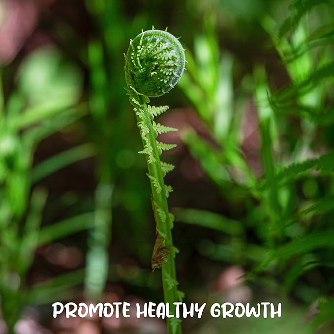 Fern Plant Potting Soil Mix (4 Quarts), Custom Hand Blended Mixture for Indoor/Outdoor Container Gardening