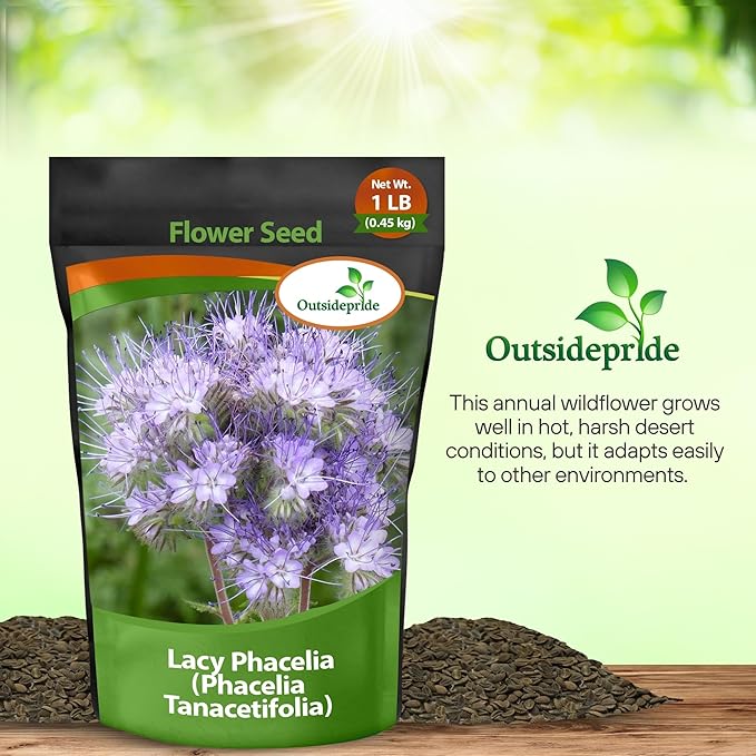 Outsidepride 1 lb. Annual Lacy Phacelia Wild Flower Seeds for Planting