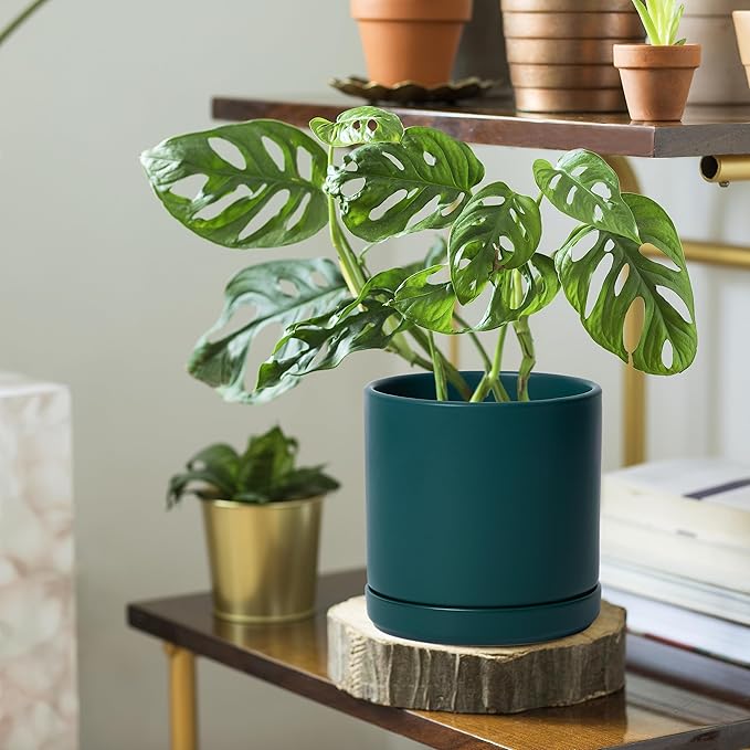 D'vine Dev 6 Inch Ceramic Planter Pot with Drainage Hole and Saucer, Indoor Cylinder Round Planter Pot, Teal, 94-O-C-9