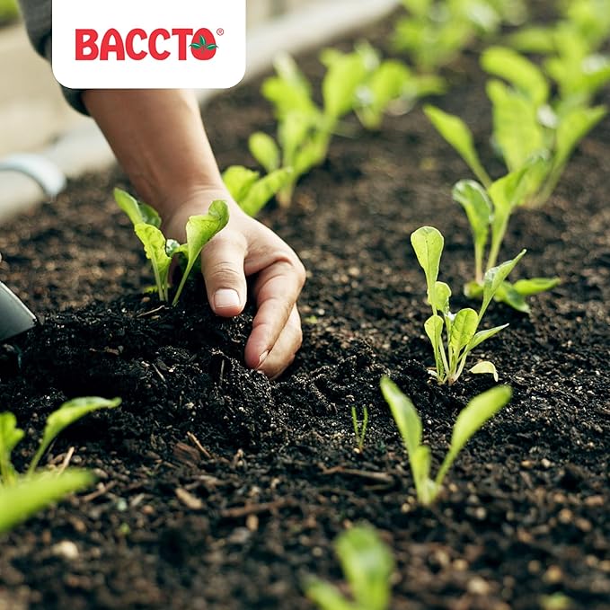 1550P Baccto Top Soil for Lawns, Gardens, and Raised Planting Beds with Reed Sedge, Peat, and Sand, 50 Pounds (3 Pack)