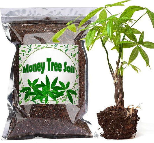 Organic Money Tree Soil Mix 2qt, Indoor Plants Potting Mix for All Potted Money Tree, Grow Healthy houseplants Indoors