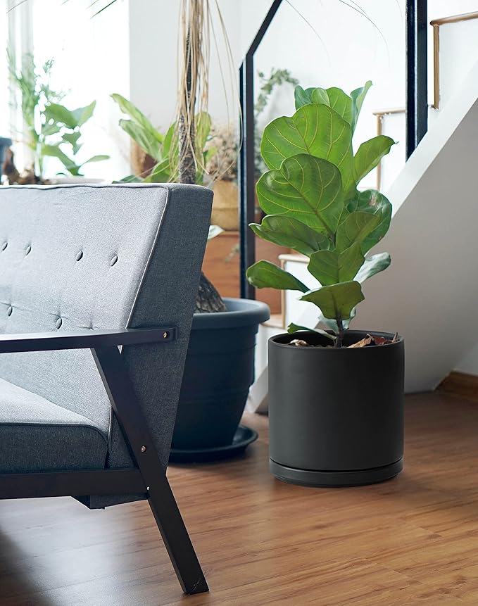 D'vine Dev Set of 2 Plants Pots, 10 Inch Ceramic Planter Pot for Plants with Drainage Hole and Saucer, Black, 94-V-E-2