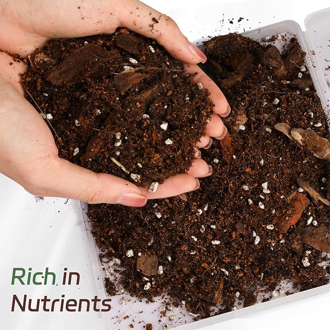 Organic Fiddle Leaf Fig Potting Mix 10qt, Indoor Plants Potting Mix for All Potted Ficus Lyrata Plant, Grow Healthy houseplants Indoors