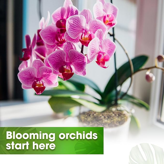 DUSPRO 2QT Orchid Potting Mix with Moss Pine Bark Mulch Perlite Stone & Coco Peat Natural Ingredients, Orchid Repotting Kit Drainage Indoor Potting Medium Great for Plant Root Climbing & Expanding