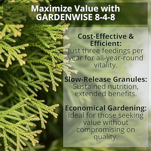 8-4-8 Acidic Fertilizer for Azaleas, Camellias (Camelia), Hydrangeas, Blueberries, Gardenias, Magnolia Trees, Evergreens, and Rhododendrons - Ideal Iron-Rich Plant Food (5 QUARTS)