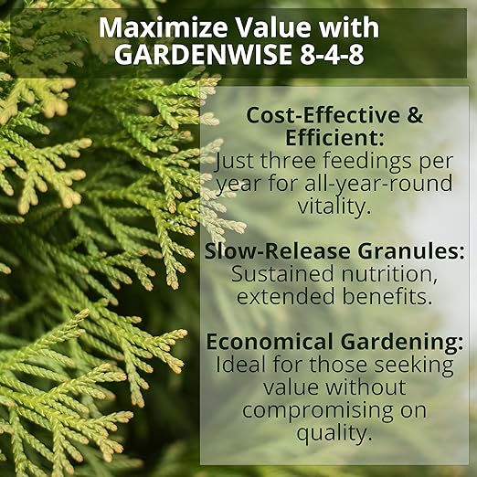 8-4-8 Acidic Fertilizer for Azaleas, Camellias (Camelia), Hydrangeas, Blueberries, Gardenias, Magnolia Trees, Evergreens, and Rhododendrons - Ideal Iron-Rich Plant Food (1/2 Quart)