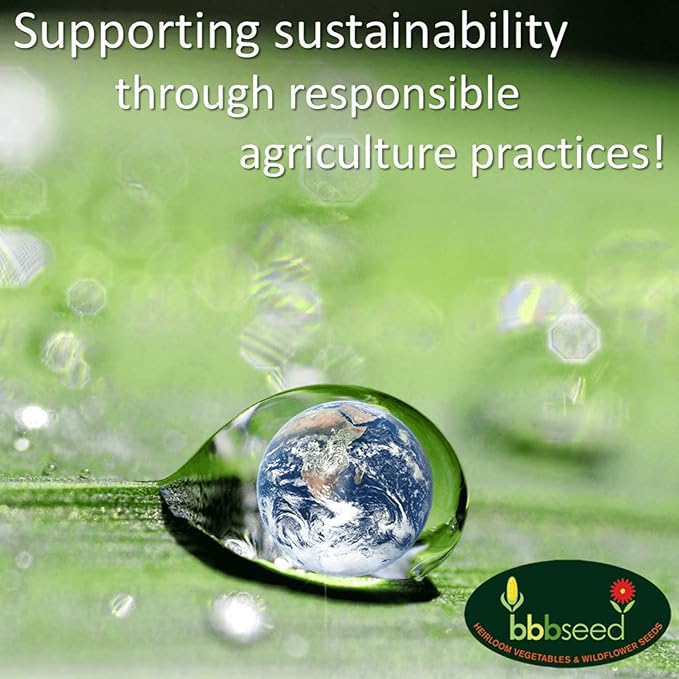 Monarch Butterfly Rescue Wildflower Seed Packet - 1oz, Open-Pollinated Wildflower, No Fillers, Annuals, Perennials and Milkweed Seeds for Monarch Butterfly 1oz