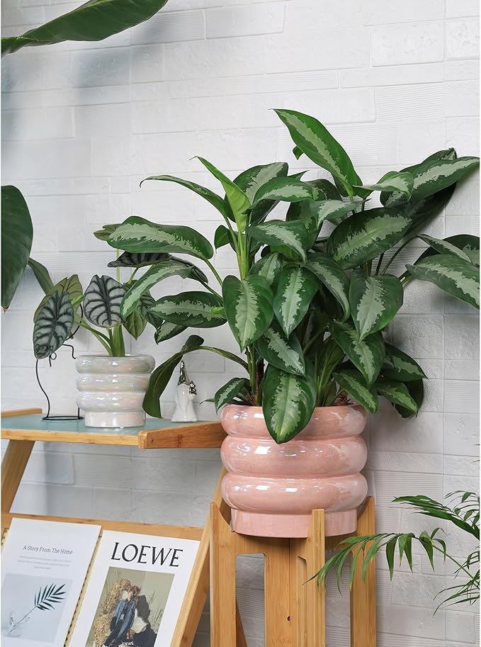 10 inch Ceramic Plant Pots for Indoor Plants, Rainbow Pearl Glaze Planter with Planters for Plants with Drainage Hole, Orchid Pots, Succulent Pot, Large Flower Pot (Pink)