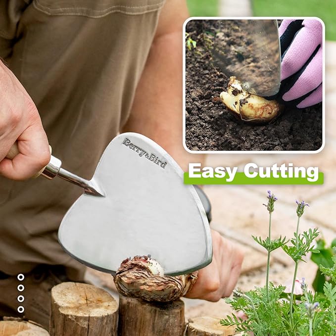 Berry&Bird Perennial Trowel, Oversized Garden Potting Trowel with Sharp Blade Wood Hand Shovel, Stainless Steel Planting Trowel Gardening Tool for Roots,Planting,Digging,Transplanting and Cutting