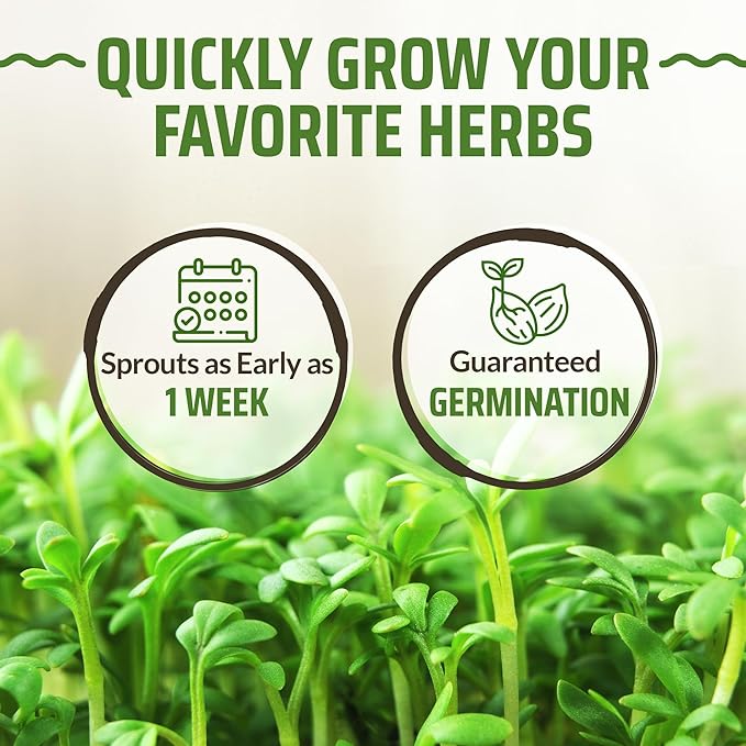 Rooted Acre 8 Basil Seeds Pack - 4000 High Germinating Fresh Basil Seeds - Thai, Genovese, Lemon, Tulsi Holy Basil, & More Culinary Herb Seeds - Non GMO, USA Heirloom Basil Seeds for Planting