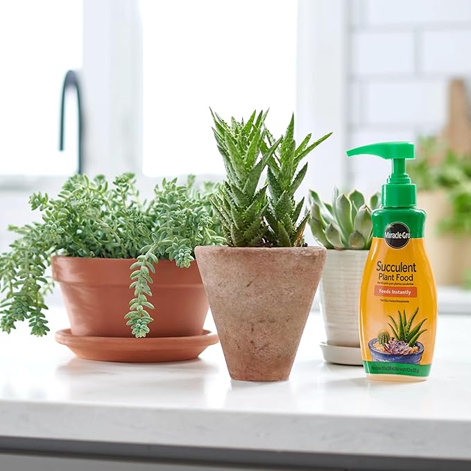 Miracle-Gro Succulent Plant Food, Liquid Plant Food for Indoor Succulents, Cacti, Jade Plants, Aloe Vera and More, 8 oz., 3-Pack