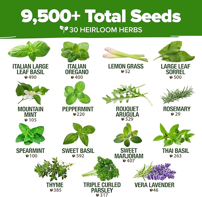 HOME GROWN 30 Herb Seeds Pack | 9,500 Non-GMO, Heirloom Seeds | Indoor & Outdoor Planting | Culinary Herb Seeds Variety Pack | HG30H Perfect for Hydroponic Gardens | Parsley, Rosemary, Thyme & More