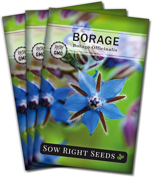 Sow Right Seeds - Borage Seed to Plant - Non-GMO Heirloom Seeds - Full Instructions for Easy Planting and Growing a Kitchen Herb Garden - Indoors or Outdoor - Great Gardening Gift (3)