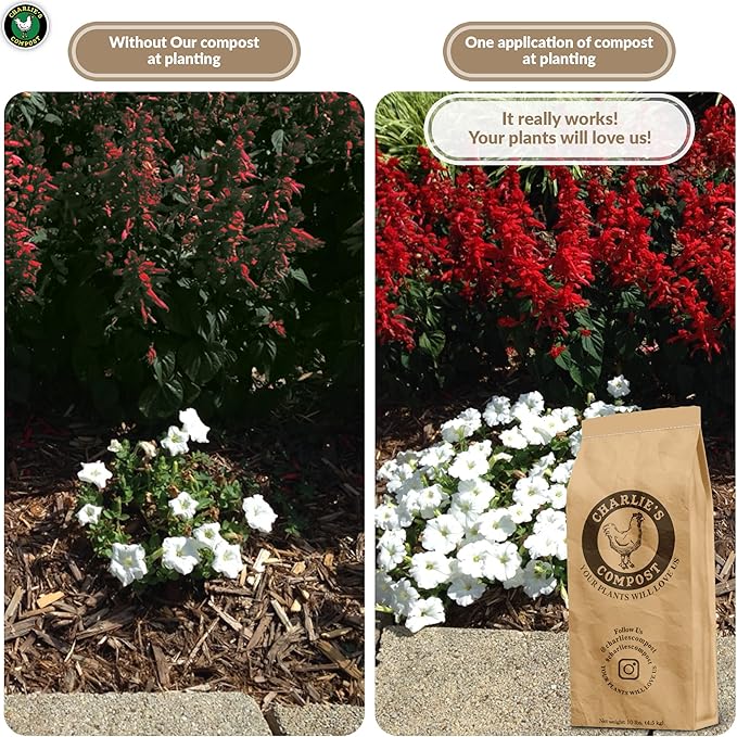 Charlie's Compost - Organic Fertilizer for Home Gardens, Raised Beds, Containers, Natural Soil Amendment with Biochar 10lb