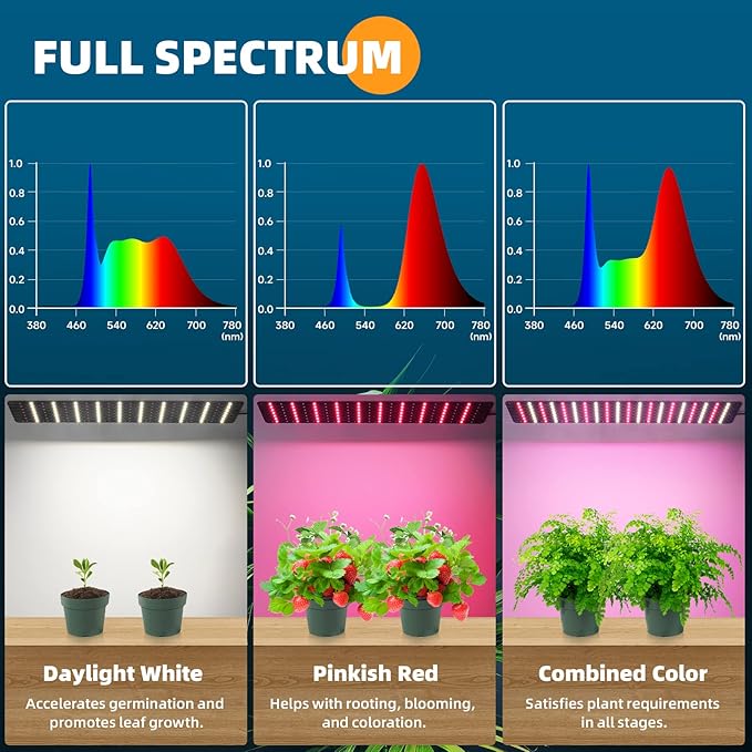 Barrina Indoor Greenhouse with Grow Light, with 40W Seed Starting LED Indoor Plant Light, Portable Mini Greenhouse with Timer for Seed Starter Tray, Seedling, Sprouting, Microgreens, 23x23x23IN