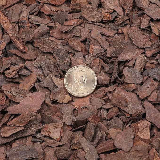 Potting Mix for Indoor Plants (Orchid Bark, 1.0, Quart)