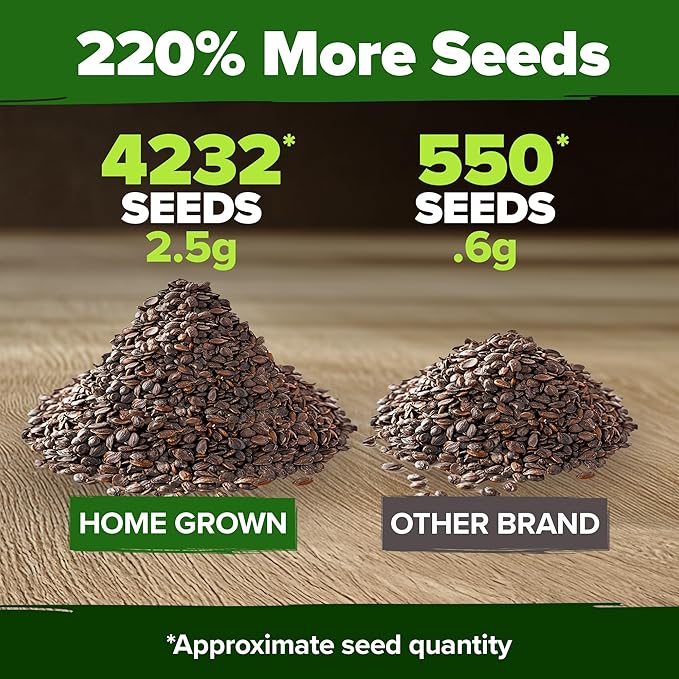 HOME GROWN Catnip Seeds 2 Pack - 4232 Bulk Non-GMO Heirloom Herb Seeds - Indoor or Outdoor Seed - High-Germination Cat Nip - Cat Safe Plants (Nepeta cataria)