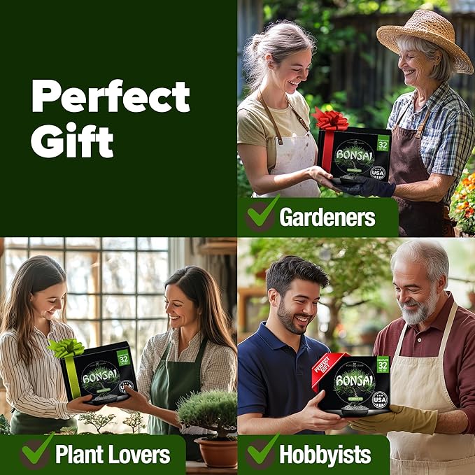 Bonsai Tree Kit - Gifts for Men & Women - Grow 4 Bonsai Trees - Unique Gardening Crafts for Adults, DIY Hobbies for Plant Lovers & Gardeners - Unusual Christmas Gift Ideas for Mom & Dad