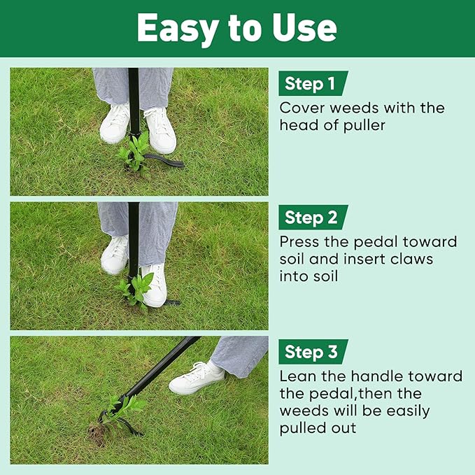 BlumWay 64 INCH Weed Puller Tool, Stand Up Heavy Duty Weed Puller, 3 Adjustable Long Handle Weed Remover Tool, 4 Claw Steel Head Weeder Tool, Garden Manual Weeding Tool Without Bending or Kneeling