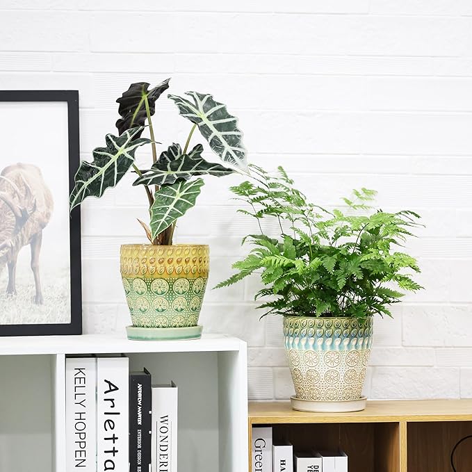 6 Inch + 5 Inch Ceramic Planter Pot with Drainage Holes, Saucers and Mesh Pads for Indoor-Outdoor Plants, Succulent Orchid Flower, Round Plant Pots, Set of 2