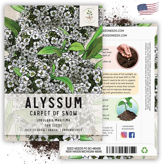 Seed Needs Heirloom Alyssum Flower Seed Packet Collection Variety Pack (Includes 4 Packets) Basket of Gold, Royal Carpet, Dwarf Pink & Carpet of Snow - Perfect for Rock Gardens