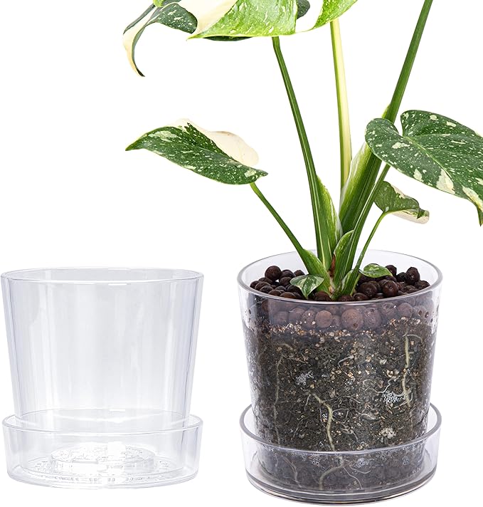 Phoenix Vine 6.5 InchClear Acrylic Planter Pot with Tray, Orchid Pot with Drainage Holes, Deep Saucer for Bottom Watering, Transparent Containers for Indoor Plants, Herbs, Set of 2, 91-A-F-2