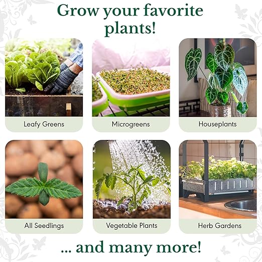 HydraGreens Indoor Plant Food & Vegetable Garden Liquid Fertilizer - NPK 3-1-2 Enriched with Sea Kelp to Stimulate Root & Plant Growth - All Purpose Plant Fertilizer use in Soil & Hydroponics - 8 oz