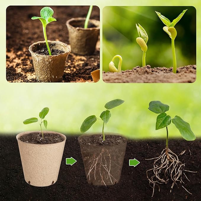 130 Pcs Organic Peat Pots, 3.15 Inch Nursery Pot, Round Plant Seedling Pots with Drainage Holes, Small Seed Starting Starter Tray Bulk, Garden Germination Container with 130 Planting Labels