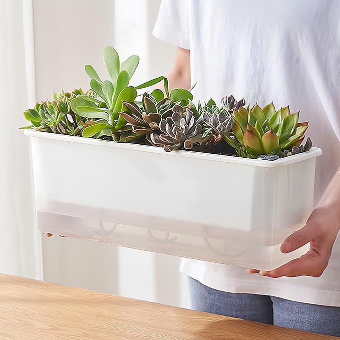 FAMZ Self Watering Pots 3 Pack,Transparent Rectangular Planting Pots, Self Watering Pots for Indoor Plants, Suitable for Growing African Violets, Fruits, Vegetables, Flowers, Plant Pots,Herb Planter