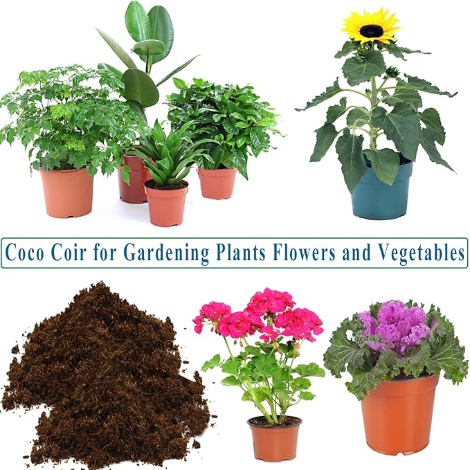 10 Quart Loose Coco Coir Potting Soil for Planting, Coconut Coir with Low EC and pH Balance for Gardening Plants, Flowers Herbs, Vegetables, Terrariums and Reptile Tanks