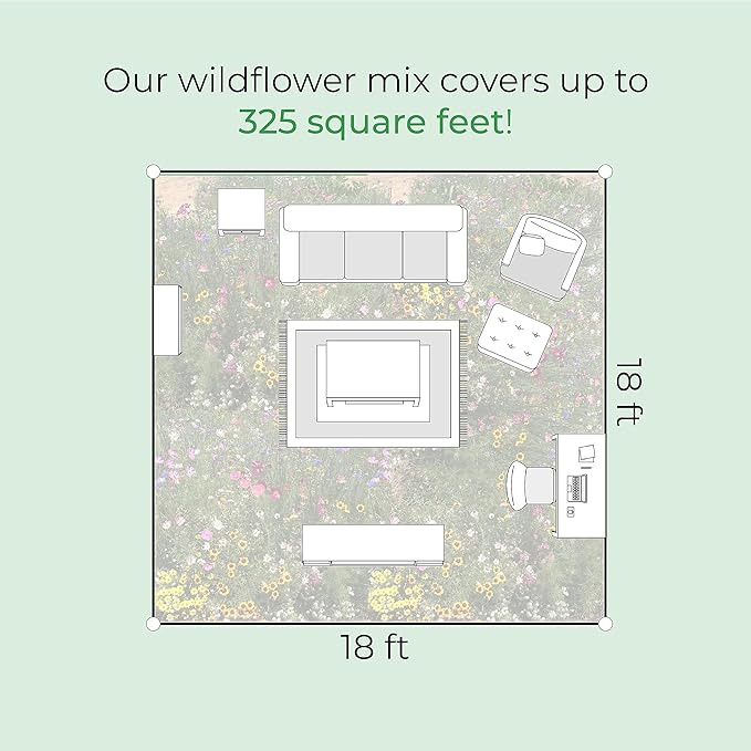 Texas Wildflower Seed Mix, Covers 325 Sq Ft, 17 Flower Varieties, Over 60,000 Seeds - Created By Nature