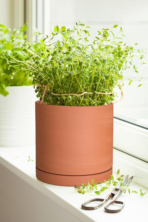 D'vine Dev Small 6 Inch Terracotta Plant Pot with Drainage Hole and Saucer, Round Cylinder Planter Pot for Indoor Plants, Set of 2, 40-X-B-3