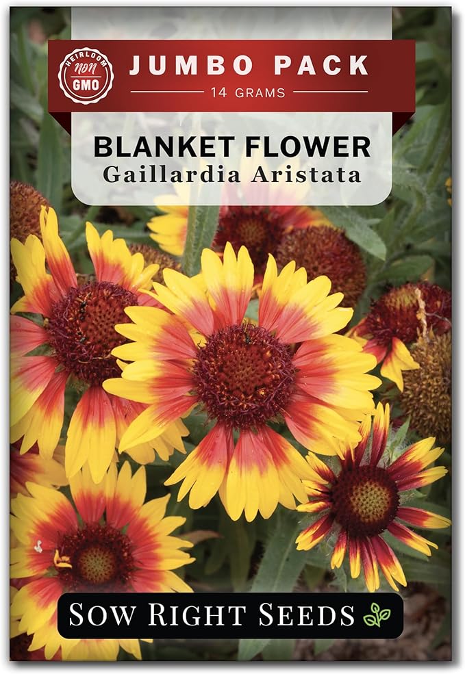 Sow Right Seeds - Bulk Blanket Flower Seeds for Planting - 14 Grams, 5000 Seeds - Non-GMO Heirloom Jumbo Pack to Plant in Your Garden - Perennial Indian Gaillardia - Grow Native Gardens, Adds Color