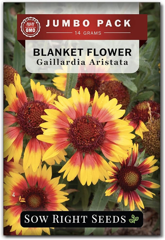 Sow Right Seeds - Bulk Blanket Flower Seeds for Planting - 14 Grams, 5000 Seeds - Non-GMO Heirloom Jumbo Pack to Plant in Your Garden - Perennial Indian Gaillardia - Grow Native Gardens, Adds Color