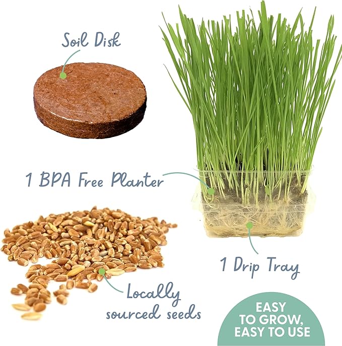 Cat Grass Growing Kit -Organic Seed, Soil and BPA Free containers (Non GMO). All of Our Seed is Locally sourced! (1 Pack)